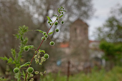 BUITEN BEELD Foto: 253677