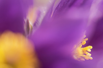 BUITEN BEELD Foto: 253726