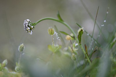BUITEN BEELD Foto: 253750