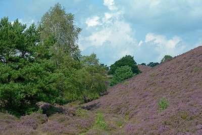 BUITEN BEELD Foto: 253770