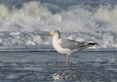 BUITEN BEELD Foto: 253778