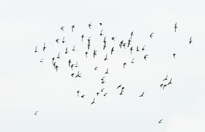 BUITEN BEELD Foto: 253848
