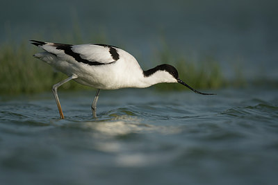 BUITEN BEELD Foto: 253856