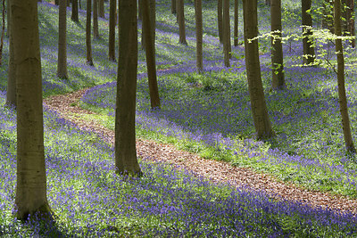 BUITEN BEELD Foto: 253860