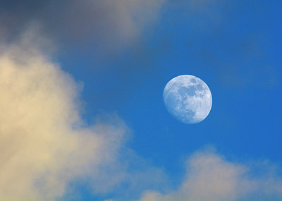 BUITEN BEELD Foto: 253884