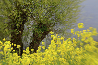 BUITEN BEELD Foto: 253889