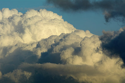 BUITEN BEELD Foto: 253899