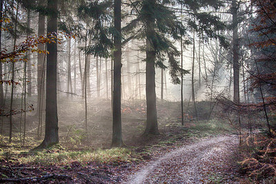 BUITEN BEELD Foto: 253906