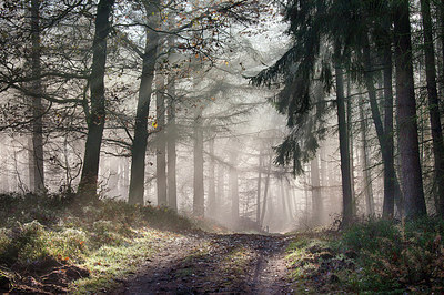 BUITEN BEELD Foto: 253907