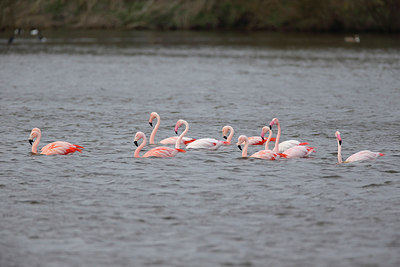 BUITEN BEELD Foto: 253971