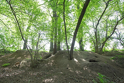 BUITEN BEELD Foto: 254009