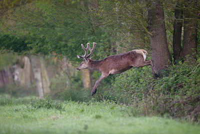 BUITEN BEELD Foto: 254048