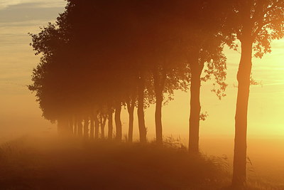 BUITEN BEELD Foto: 254074