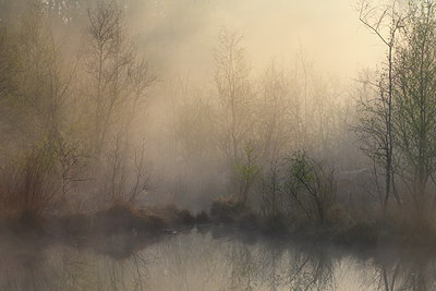 BUITEN BEELD Foto: 254078