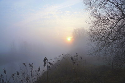 BUITEN BEELD Foto: 254081