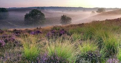 BUITEN BEELD Foto: 254090