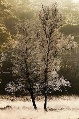 BUITEN BEELD Foto: 254095