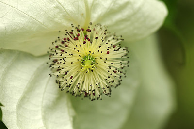 BUITEN BEELD Foto: 254125