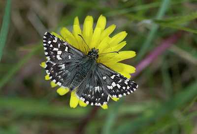 BUITEN BEELD Foto: 254136
