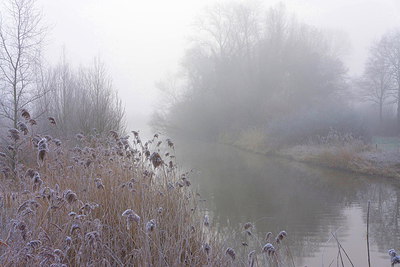 BUITEN BEELD Foto: 254197