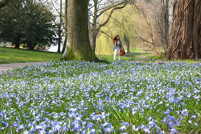 BUITEN BEELD Foto: 254220