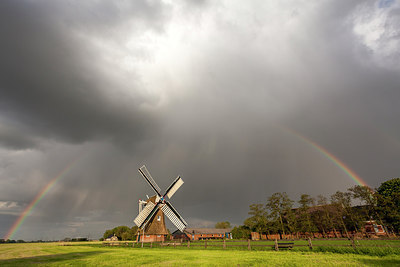 BUITEN BEELD Foto: 254226