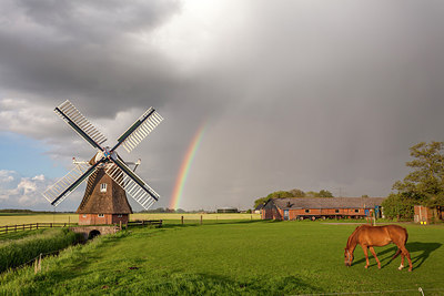 BUITEN BEELD Foto: 254227