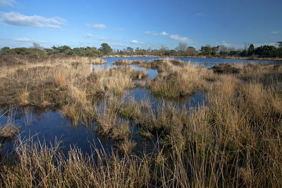 BUITEN BEELD Foto: 254300