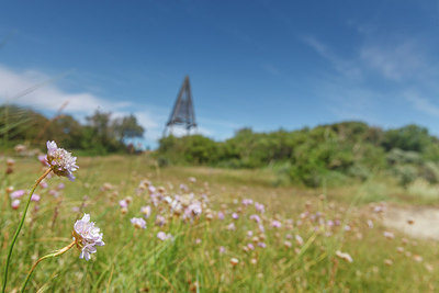 BUITEN BEELD Foto: 254362