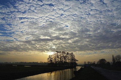 BUITEN BEELD Foto: 254405