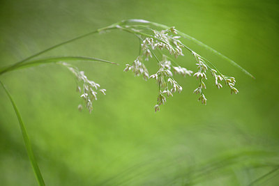 BUITEN BEELD Foto: 254457