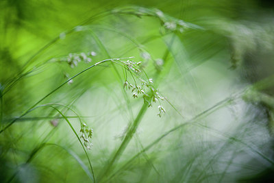 BUITEN BEELD Foto: 254458
