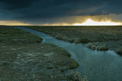 BUITEN BEELD Foto: 254473