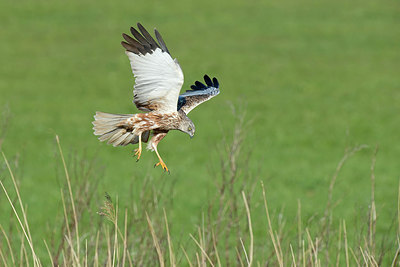 BUITEN BEELD Foto: 254552