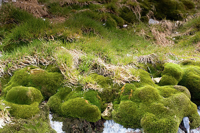 BUITEN BEELD Foto: 254561