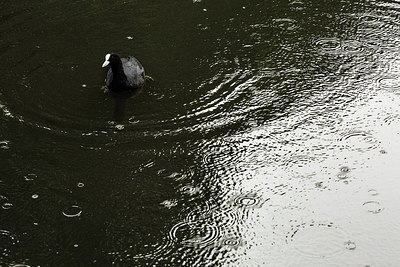BUITEN BEELD Foto: 254637