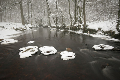 BUITEN BEELD Foto: 254725