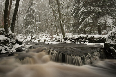 BUITEN BEELD Foto: 254728