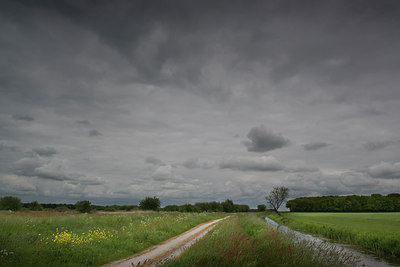 BUITEN BEELD Foto: 254787