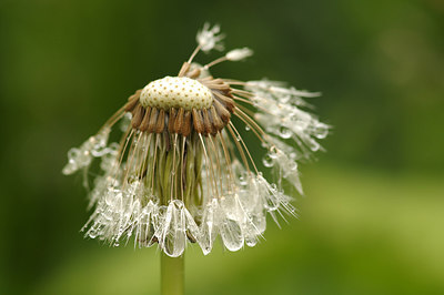 BUITEN BEELD Foto: 254825
