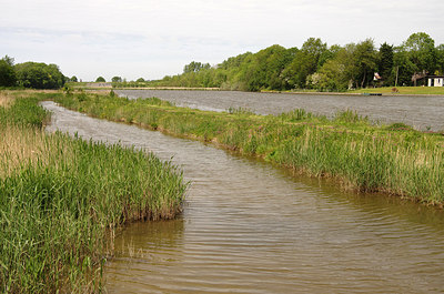 BUITEN BEELD Foto: 254829