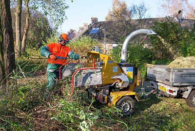 BUITEN BEELD Foto: 254882