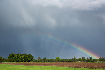 BUITEN BEELD Foto: 254898