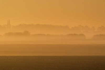BUITEN BEELD Foto: 254904