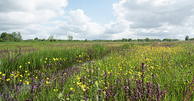 BUITEN BEELD Foto: 254905