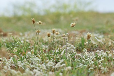 BUITEN BEELD Foto: 254920