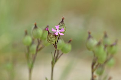 BUITEN BEELD Foto: 254925