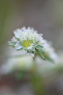 BUITEN BEELD Foto: 254939