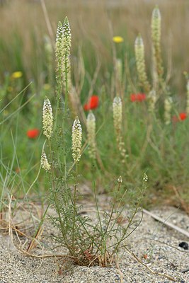 BUITEN BEELD Foto: 254960