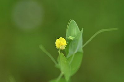 BUITEN BEELD Foto: 255029